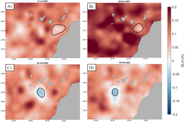 Composite of Sea Level Anomalies (SLA) with the speed contour of the cyclonic eddy along its trajectory  from the eddy atlas (SLA from altimetry, Copernicus Marine Service). See the animation at https://youtu.be/pZBD_pcgvPU. (credit University of Las Palmas de Gran Canaria)