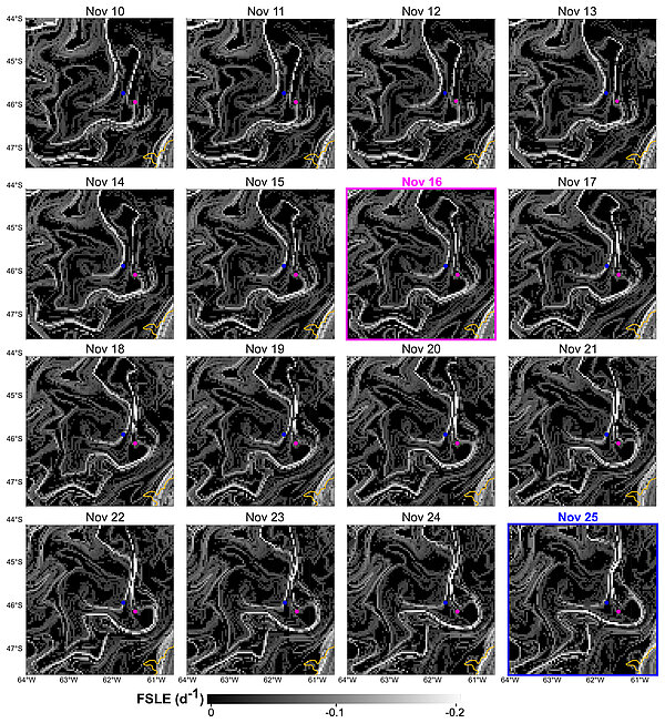 Finite-size Lyapunov exponent (FSLE) ridges in the area of the two locations with the Amphidomataceae bloom: pink dot sampled on 16 November and blue dot sampled on 25 November. The 200-m isobath is indicated in yellow. (from [Guinder et al., 2025], credit IADO-CONICET)