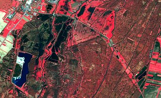 Sentinel-2A optical image of an area near Selestat (Alsace, France) with wetlands. (Credits Sertit/Icube)