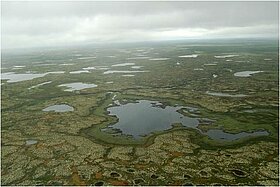 Picture of the area (near Noviy Urengoy city), taken from an airplane. (Credits E. Zakharova/A. Kouraev)