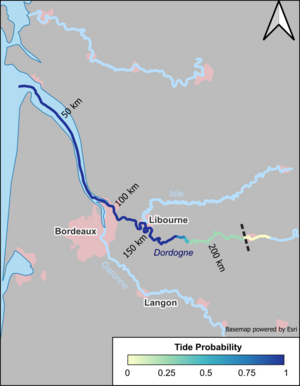 Tidal probability used to derive the tidal classification in the Gironde Estuary and upstream. Pinks areas are the major cities (from [Hart-Davis, 2026], credit DGFI-TUM) 