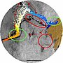 Simulation de dérives des nappes de pétrole du Prestige en novembre 2002 avec le modèle de dérive Mothy et assimilation des courants Mercator à 103 m.